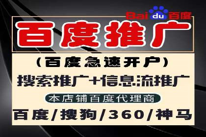 竞价排名在电商行业的实战案例